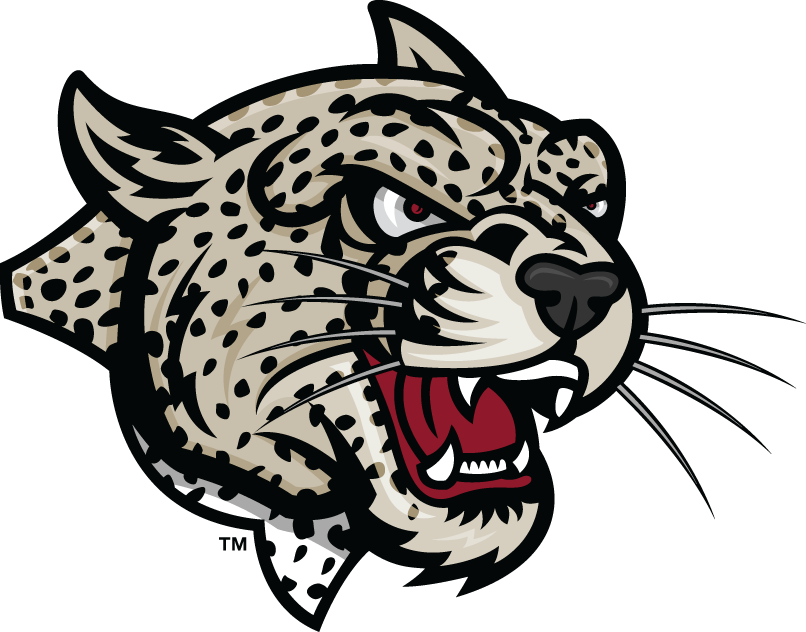 Lafayette Leopards 2000-Pres Partial Logo iron on transfers for T-shirts